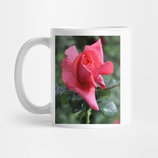 Rose Bud Mug